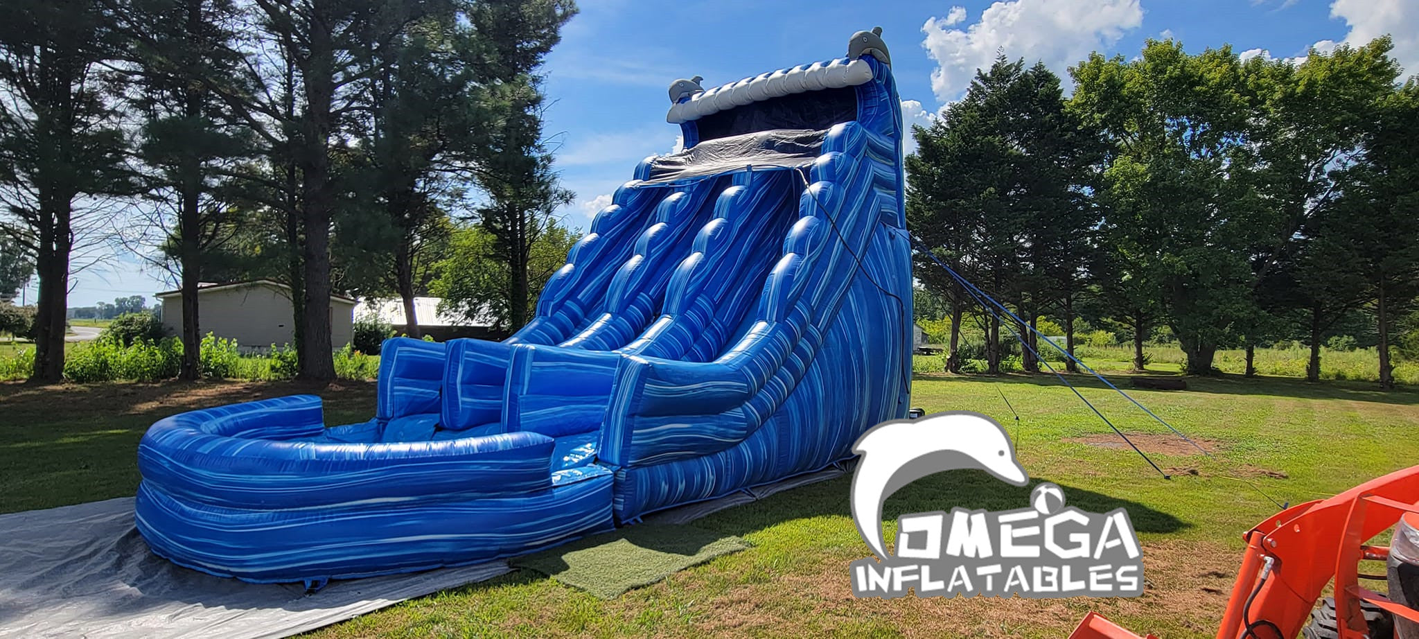 20FT Dolphin Marble Dual Lane Commercial Water Slide – Omega ...