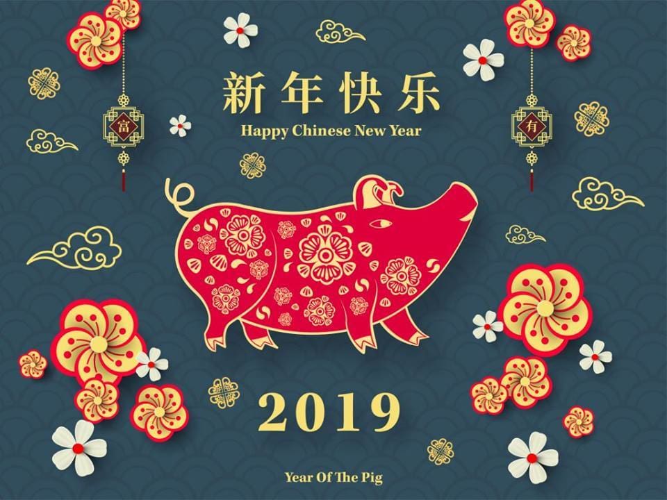 Spring Festival of 2019
