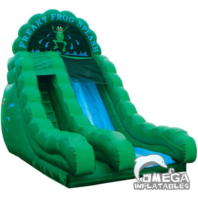 18FT Freaky Frog Splash Water Slide