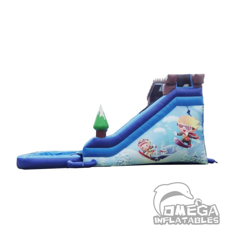 18FT Snow Resort Super Wet Dry Dual Lane Slide