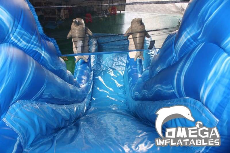 19FT Dolphin Wave Wet Dry Slide