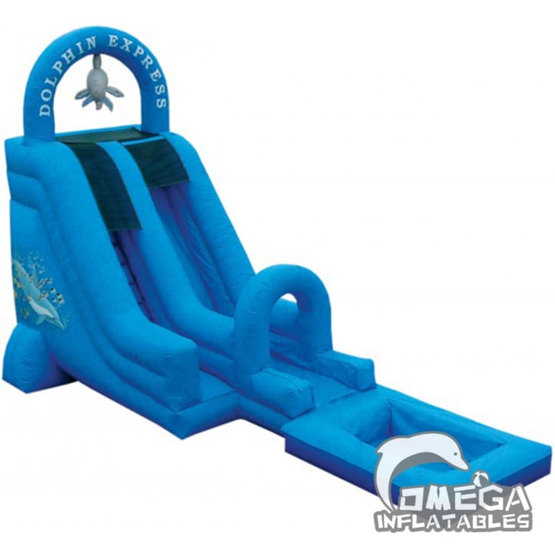 20FT Dolphin Express Wet Dry Slide