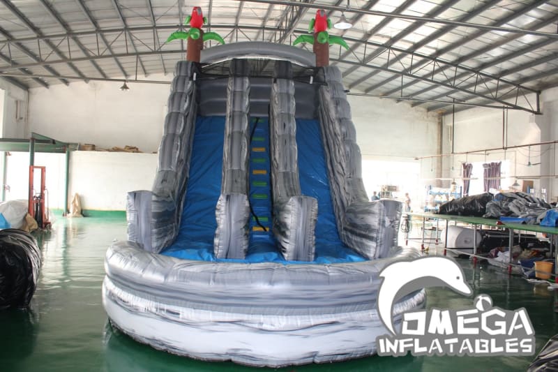 20FT Parrots Dual Lane Wet Dry Slide