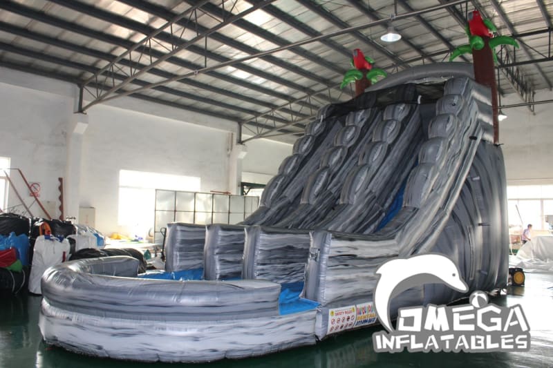 20FT Parrots Dual Lane Wet Dry Slide