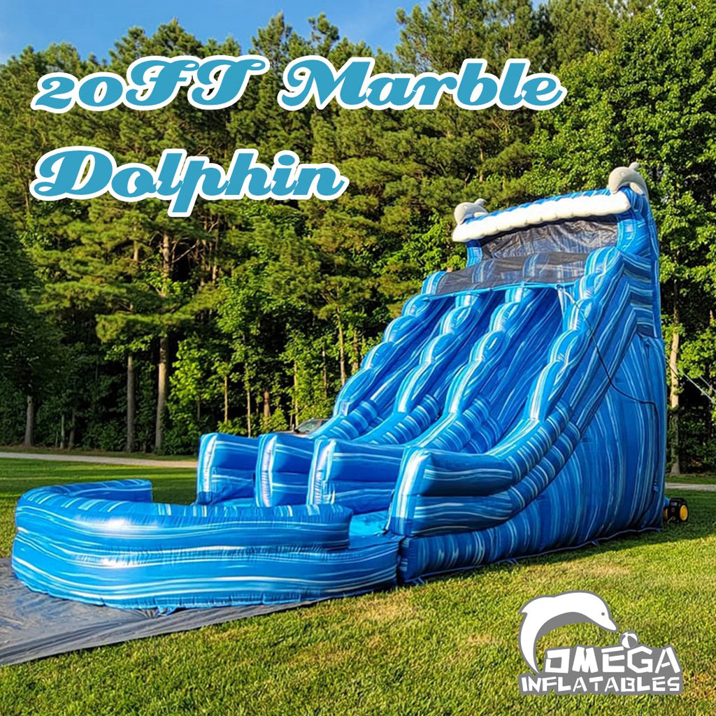 20FT Dolphin Marble Dual Lane Commercial Water Slide