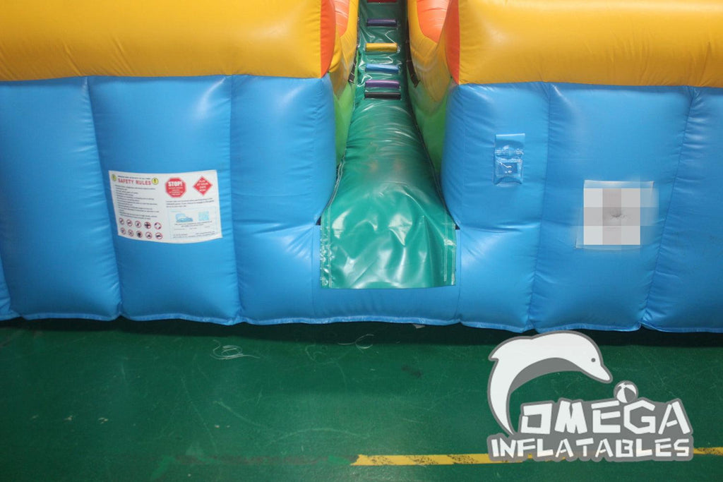 Inflatable Circus Clown Double Lane Slide