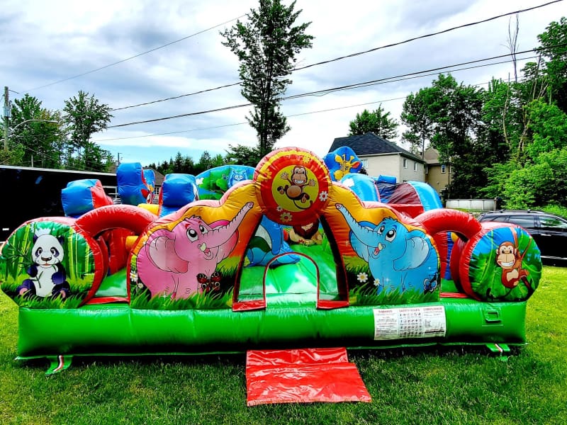 Inflatable Animals Park