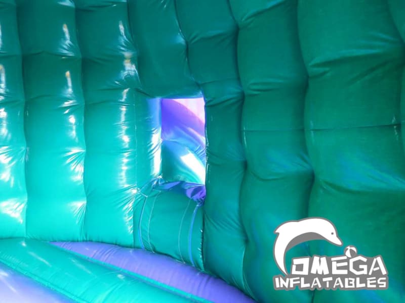 Inflatables Disco Dome with Slide with 3D Character