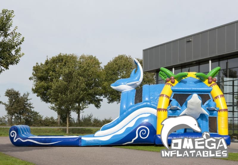 Large Inflatable Dolphin Jumper Combo