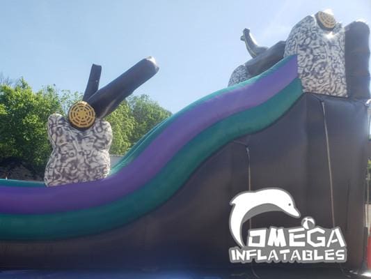 Wild Rapids Water Slide