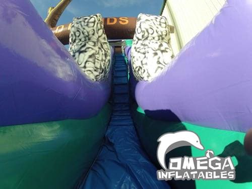 Wild Rapids Water Slide